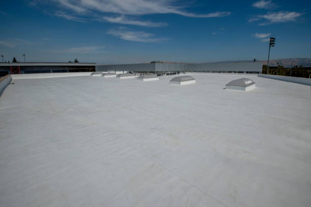 Best Roof Leak Repair  in Darien, WI