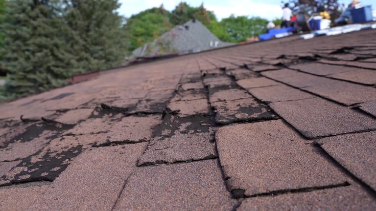 Best Solar Panel Roofing Installation  in Darien, WI