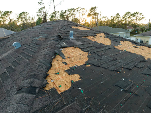 Best Roof Ventilation Installation  in Darien, WI