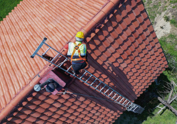 Best Roof Coating and Sealing  in Darien, WI