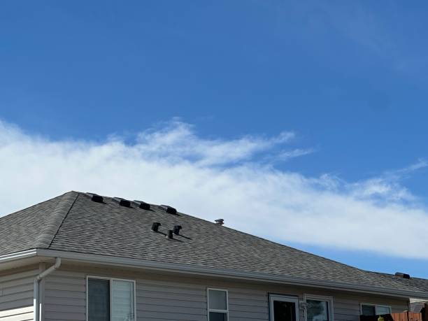 Best Rubber Roofing (EPDM, TPO)  in Darien, WI